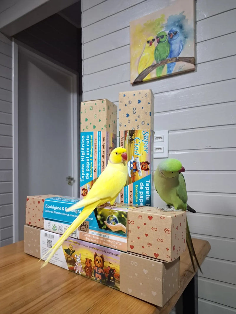 @penaseharmonia · criadora de aves