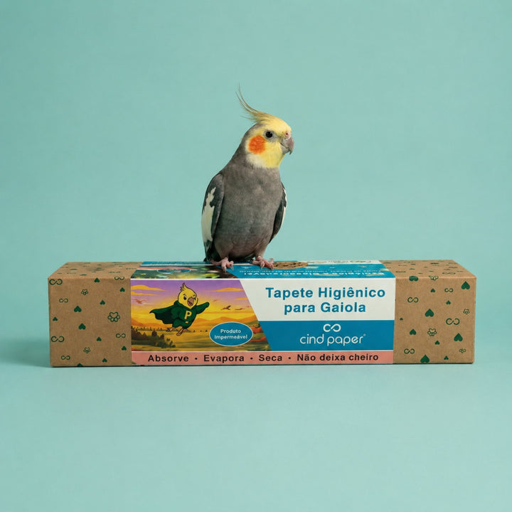 Aves